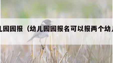 幼儿园园报（幼儿园园报名可以报两个幼儿吗）