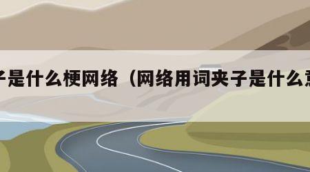夹子是什么梗网络（网络用词夹子是什么意思）