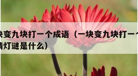 一块变九块打一个成语（一块变九块打一个成语猜灯谜是什么）