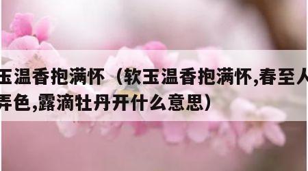 软玉温香抱满怀（软玉温香抱满怀,春至人间花弄色,露滴牡丹开什么意思）