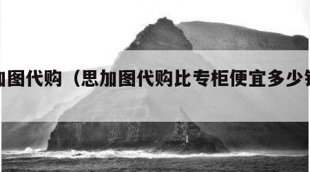 思加图代购（思加图代购比专柜便宜多少钱啊）