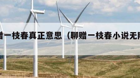 聊赠一枝春真正意思（聊赠一枝春小说无防盗）