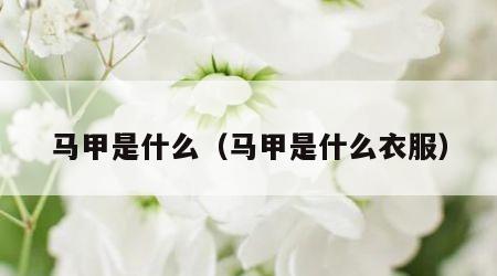 马甲是什么（马甲是什么衣服）