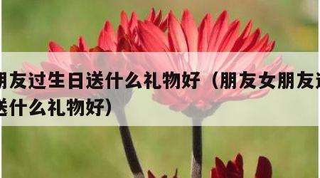 女朋友过生日送什么礼物好（朋友女朋友过生日送什么礼物好）