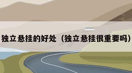 独立悬挂的好处（独立悬挂很重要吗）