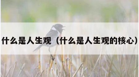 什么是人生观（什么是人生观的核心）