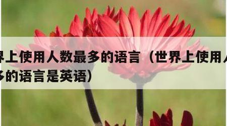 世界上使用人数最多的语言（世界上使用人数最多的语言是英语）