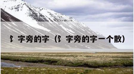 饣字旁的字（饣字旁的字一个散）