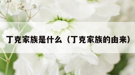 丁克家族是什么（丁克家族的由来）