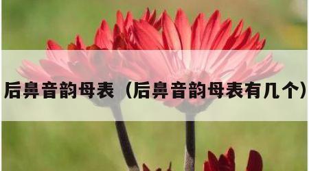 后鼻音韵母表（后鼻音韵母表有几个）
