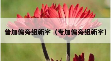 普加偏旁组新字（专加偏旁组新字）