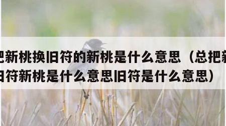 总把新桃换旧符的新桃是什么意思（总把新桃换旧符新桃是什么意思旧符是什么意思）