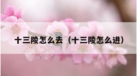 十三陵怎么去（十三陵怎么进）