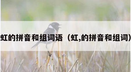 虹的拼音和组词语（虹,的拼音和组词）