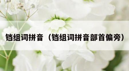 铛组词拼音（铛组词拼音部首偏旁）
