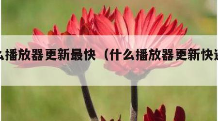 什么播放器更新最快（什么播放器更新快还免费）