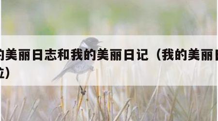 我的美丽日志和我的美丽日记（我的美丽日志价位）