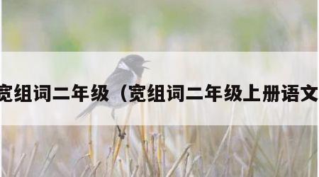 宽组词二年级（宽组词二年级上册语文）