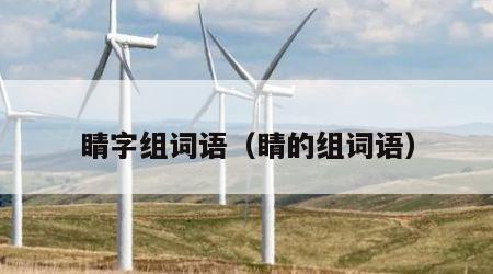 睛字组词语（睛的组词语）