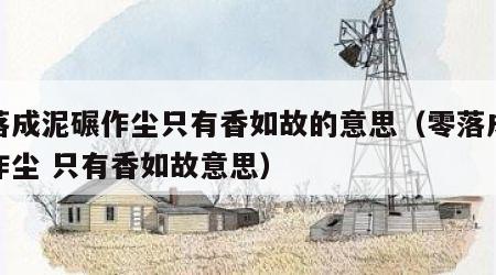 零落成泥碾作尘只有香如故的意思（零落成泥碾作尘 只有香如故意思）