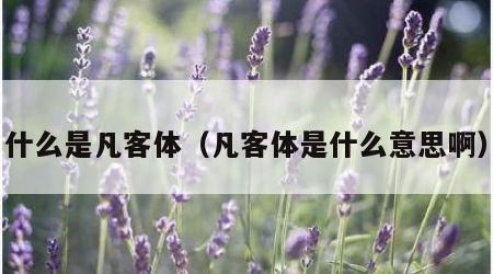 什么是凡客体（凡客体是什么意思啊）