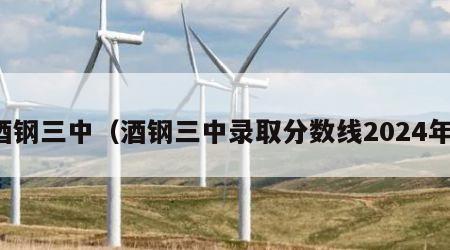 酒钢三中（酒钢三中录取分数线2024年）