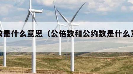 约数是什么意思（公倍数和公约数是什么意思）