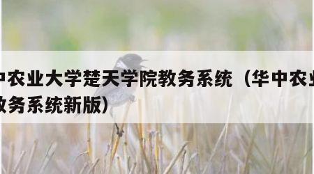 华中农业大学楚天学院教务系统（华中农业大学教务系统新版）