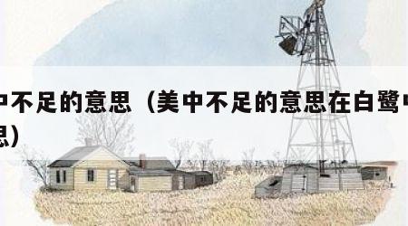 美中不足的意思（美中不足的意思在白鹭中的意思）