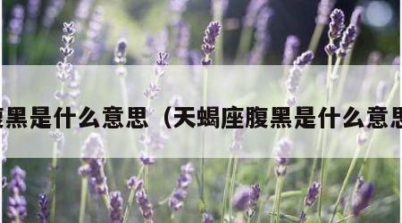 腹黑是什么意思（天蝎座腹黑是什么意思）