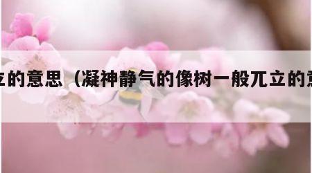 兀立的意思（凝神静气的像树一般兀立的意思）