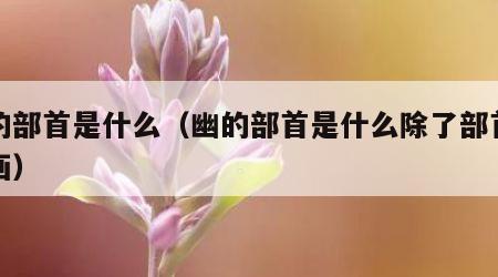 幽的部首是什么（幽的部首是什么除了部首有几画）
