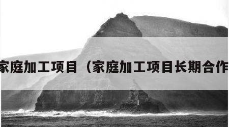 家庭加工项目（家庭加工项目长期合作）