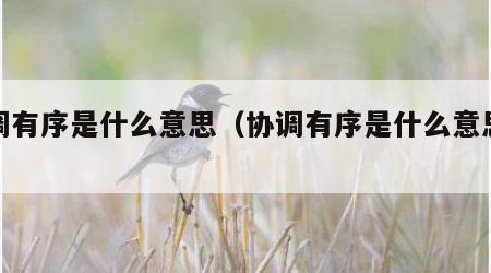 协调有序是什么意思（协调有序是什么意思解释）