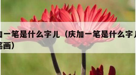 庆加一笔是什么字儿（庆加一笔是什么字儿五个笔画）