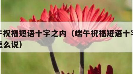 端午祝福短语十字之内（端午祝福短语十字之内怎么说）