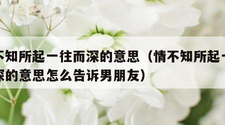 情不知所起一往而深的意思（情不知所起一往而深的意思怎么告诉男朋友）