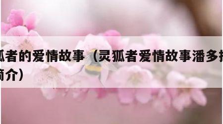 灵狐者的爱情故事（灵狐者爱情故事潘多拉教官简介）