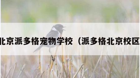 北京派多格宠物学校（派多格北京校区）