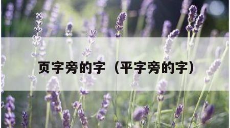 页字旁的字（平字旁的字）