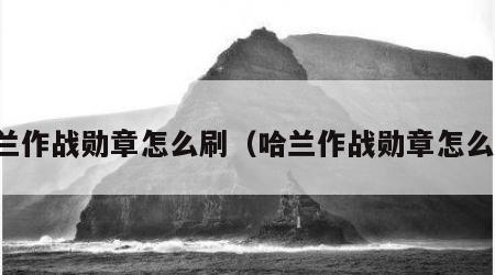哈兰作战勋章怎么刷（哈兰作战勋章怎么用）
