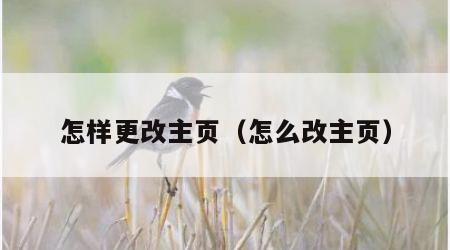 怎样更改主页（怎么改主页）