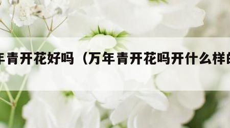 万年青开花好吗（万年青开花吗开什么样的花）