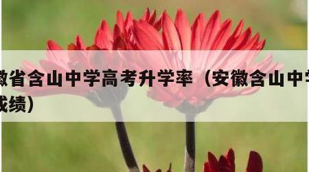 安徽省含山中学高考升学率（安徽含山中学高考成绩）