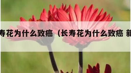 长寿花为什么致癌（长寿花为什么致癌 新闻）
