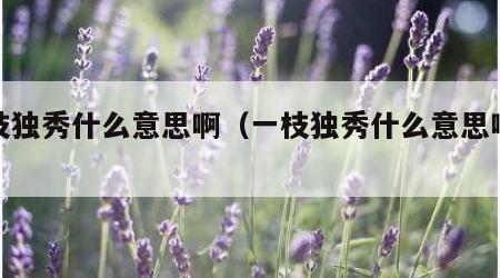 一枝独秀什么意思啊（一枝独秀什么意思啊闻名）