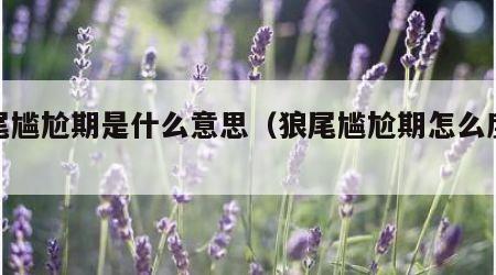 狼尾尴尬期是什么意思（狼尾尴尬期怎么度过）