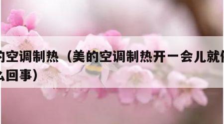 美的空调制热（美的空调制热开一会儿就停了怎么回事）