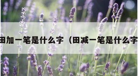 田加一笔是什么字（田减一笔是什么字）