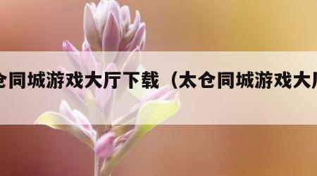 太仓同城游戏大厅下载（太仓同城游戏大厅苹果）